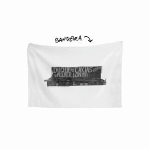 Bandeira TERRA DE MULHER BONITA Placa